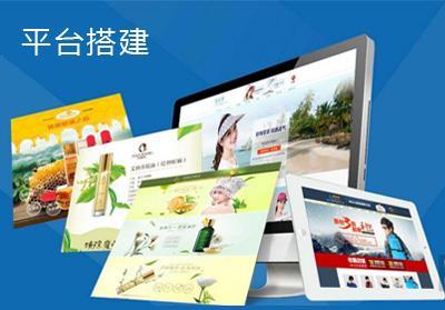 微动电商 西安专业的网站建设专家，助力企业数字化转型