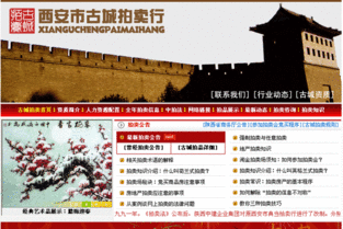 九域品牌设计 专业网站建设与设计服务的西安典范