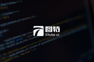 专业定制与创新设计 摩高互动引领西安网站建设新潮流