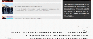 西安网站建设与网络推广指南 选择专业的网络公司助力业务增长